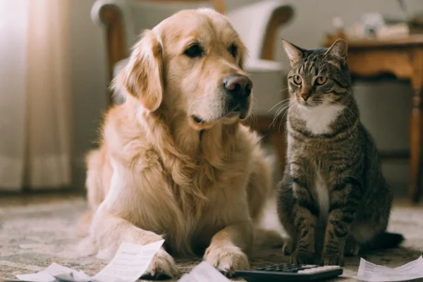 A dog and cat sitting together with receipts and a calculator nearby, representing the cost comparison of dog vs cat ownership
