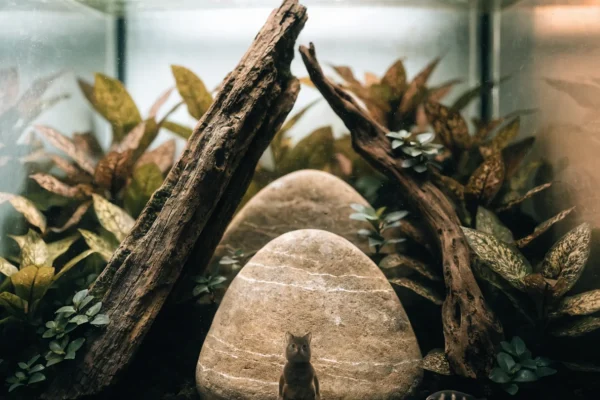 Nature-style aquascape with driftwood, dragon stones, and Cryptocoryne plants in a planted tank