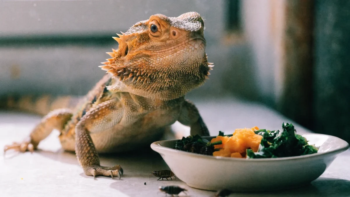 Bearded Dragon Diet: What to Feed and What to Avoid