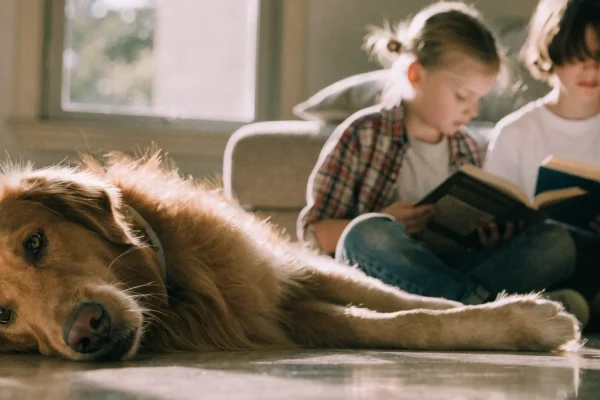 Golden retriever lying beside two children reading on a living room floor in warm natural light