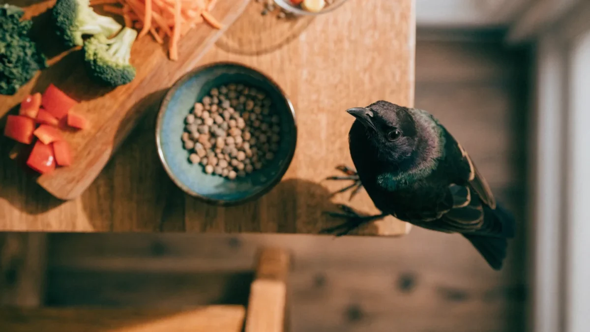 Budgie Diet: Seeds, Pellets, Fruits, and Vegetables