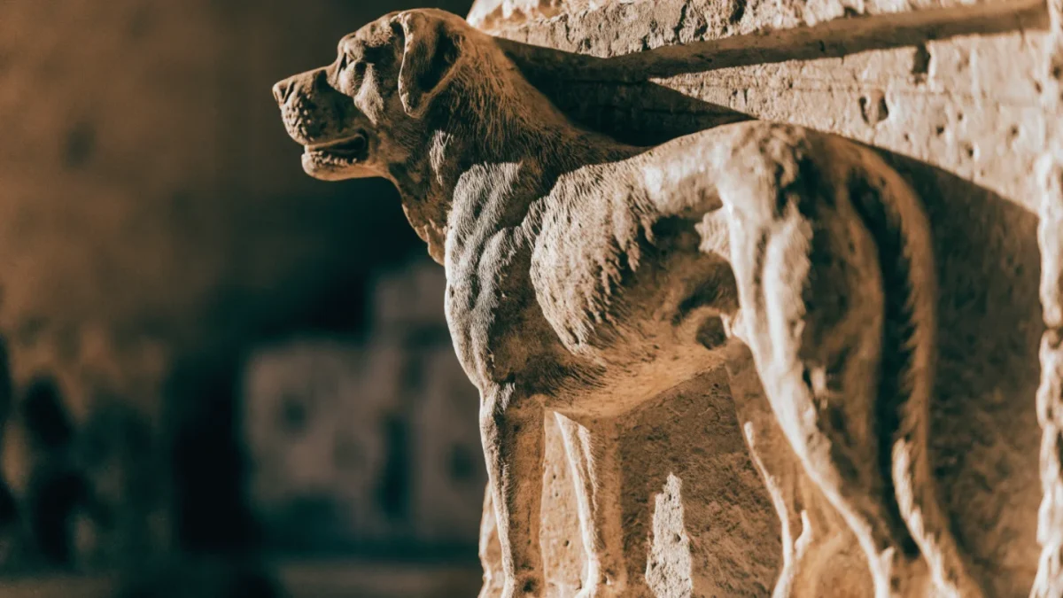 History of the Cane Corso: Roman War Dogs and an Italian Revival