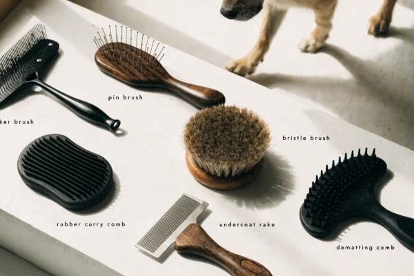 Six dog grooming brushes on a white surface — slicker brush, pin brush, bristle brush, rubber curry comb, undercoat rake, and dematting comb — each clearly distinct