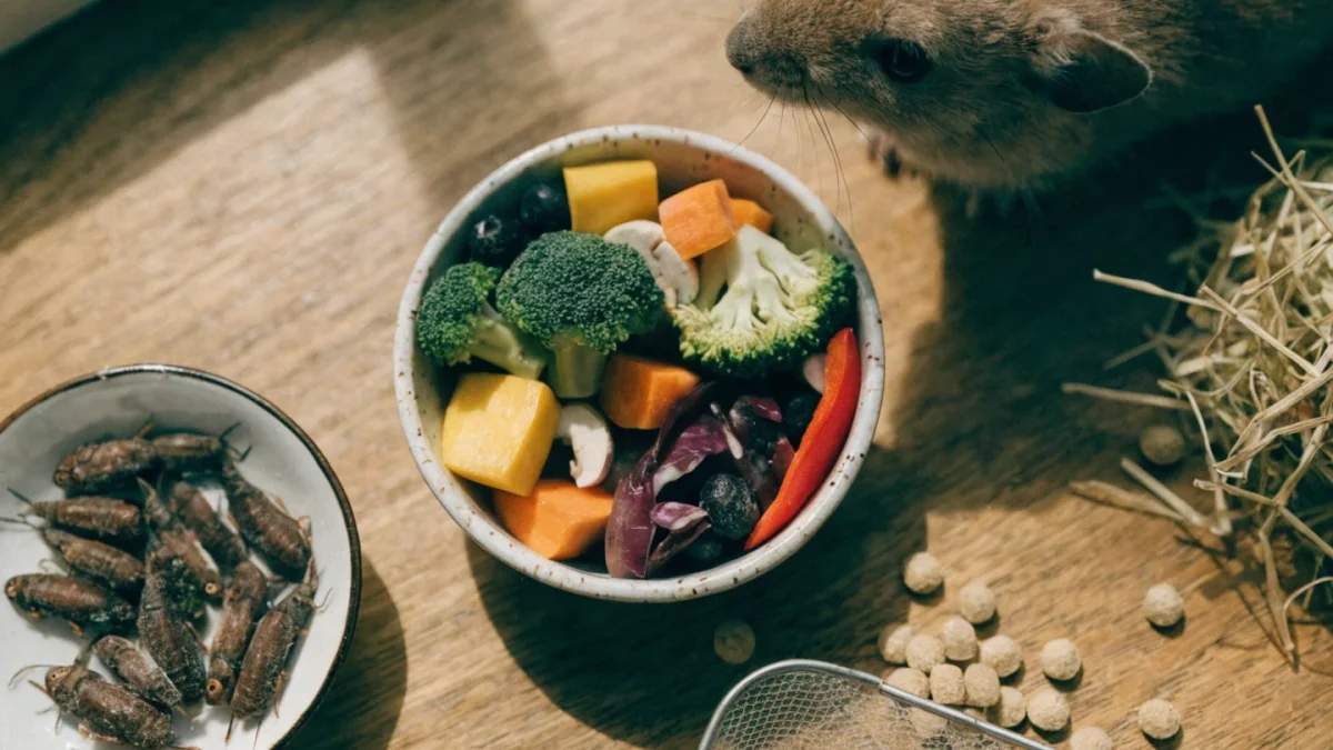 Exotic Pet Nutrition Guide: Species-Specific Diets, Supplements, and Feeding