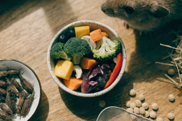 Flat-lay arrangement of exotic pet foods including dusted crickets, chopped vegetables, timothy hay, and fish pellets on a wooden surface