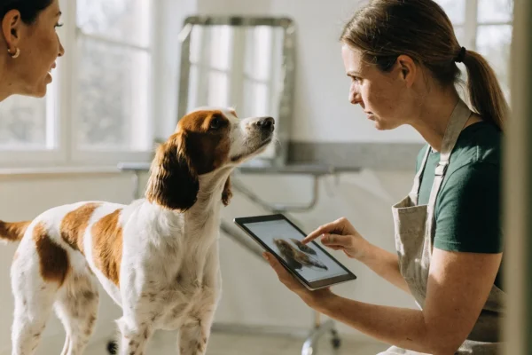 Dog owner talking with professional dog groomer in a bright clean salon, groomer pointing to a photo reference on a tablet with the dog sitting patiently on a leash