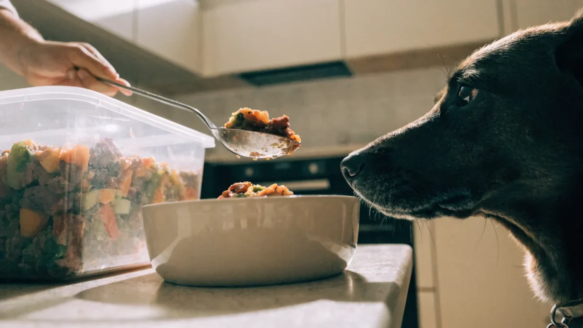 Fresh and Refrigerated Pet Food: The Newest Category Explained