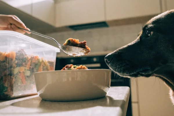 Fresh cooked refrigerated pet food being served from container into a dog bowl