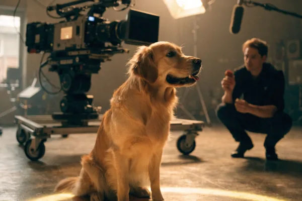 Behind the scenes on a movie set, a professional trainer prepares to reward a canine actor with a treat.