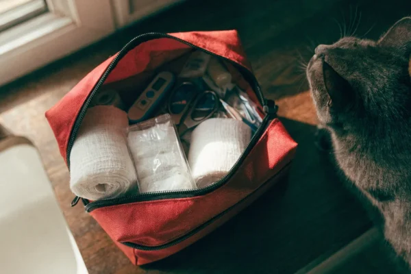 Open pet first aid kit on kitchen counter showing gauze, scissors, and thermometer