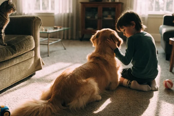 Child gently petting a dog on the living room floor while a cat watches from a nearby chair in a family home