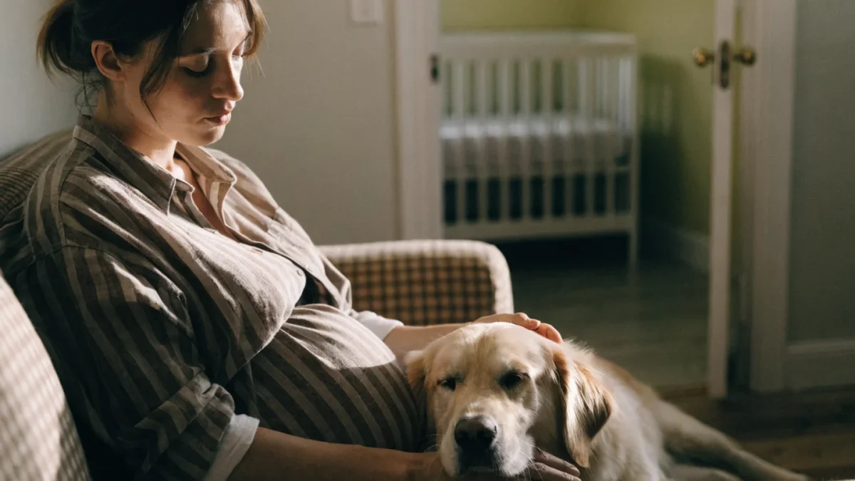 Preparing Your Pet for a New Baby in the House