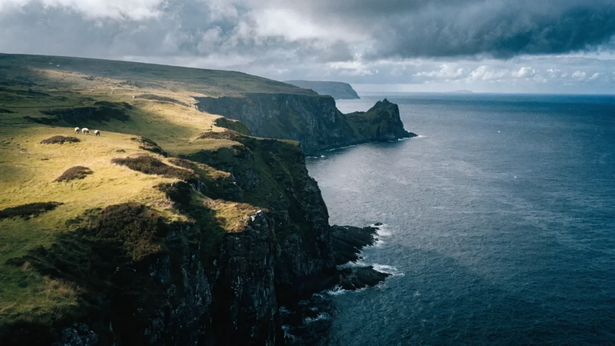 History of the Shetland Sheepdog: Island Dogs Bred for Harsh Conditions