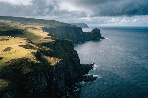 Rugged Shetland Islands coastline with green hills, grazing sheep, and dramatic overcast sky