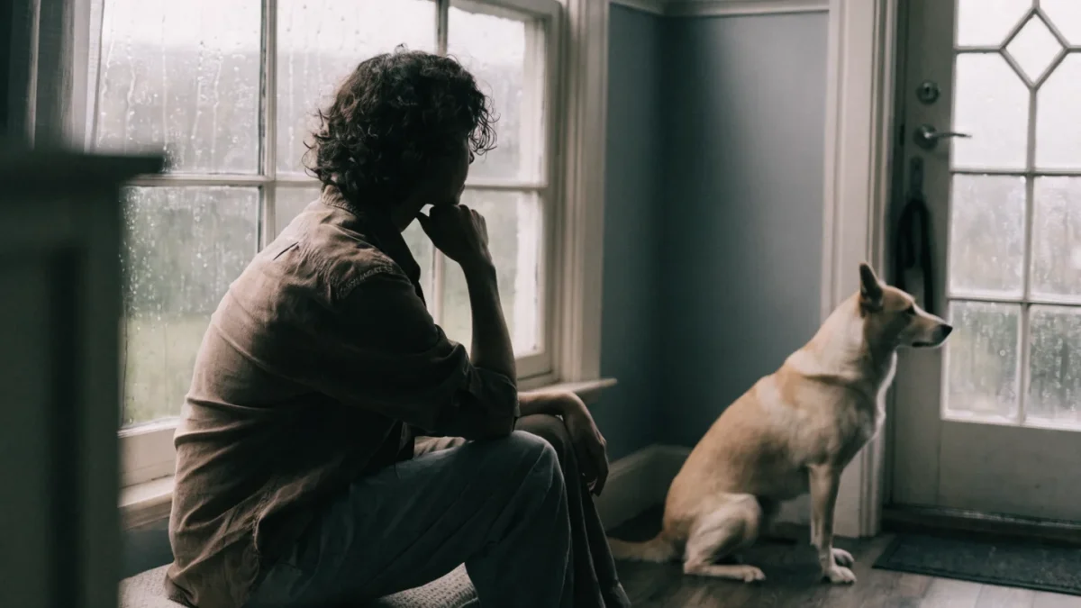 The Stages of Grief After Losing a Pet