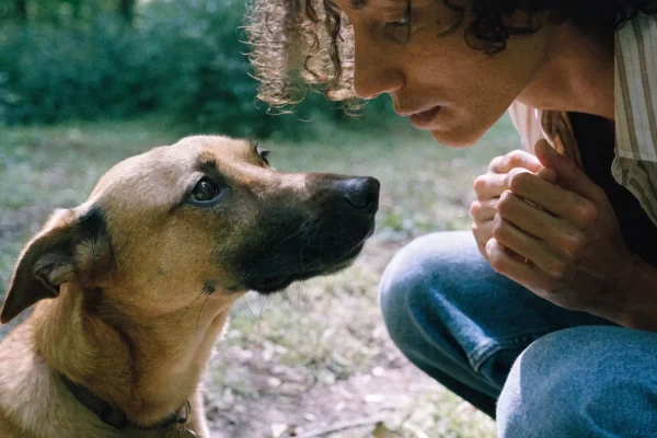 Dog sitting for polite greeting instead of jumping on person