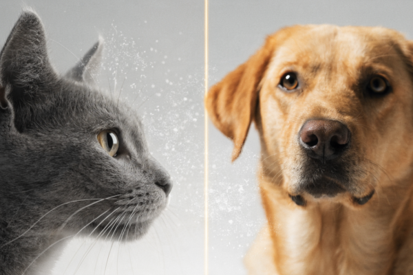 A split-frame image comparing microscopic dander proteins from a cat and a dog, illustrating why pet allergies differ between species.
