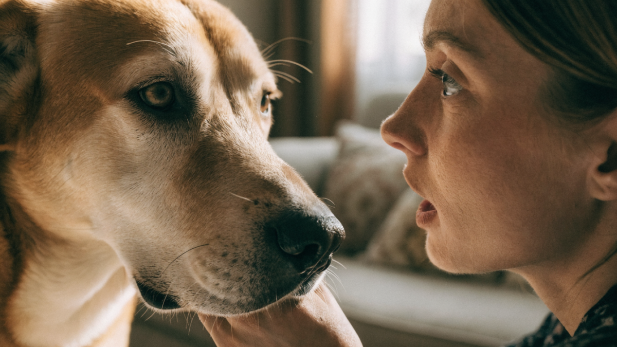 The Medical Alert Team: How Dogs Smell Seizures and Cats Detect Blood Sugar Drops