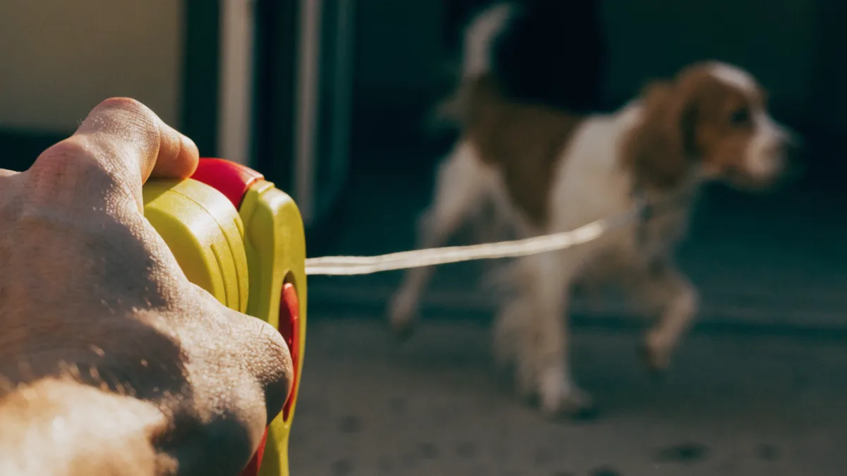 The Retractable Leash Danger: Why Vets Hate Them and What to Use Instead