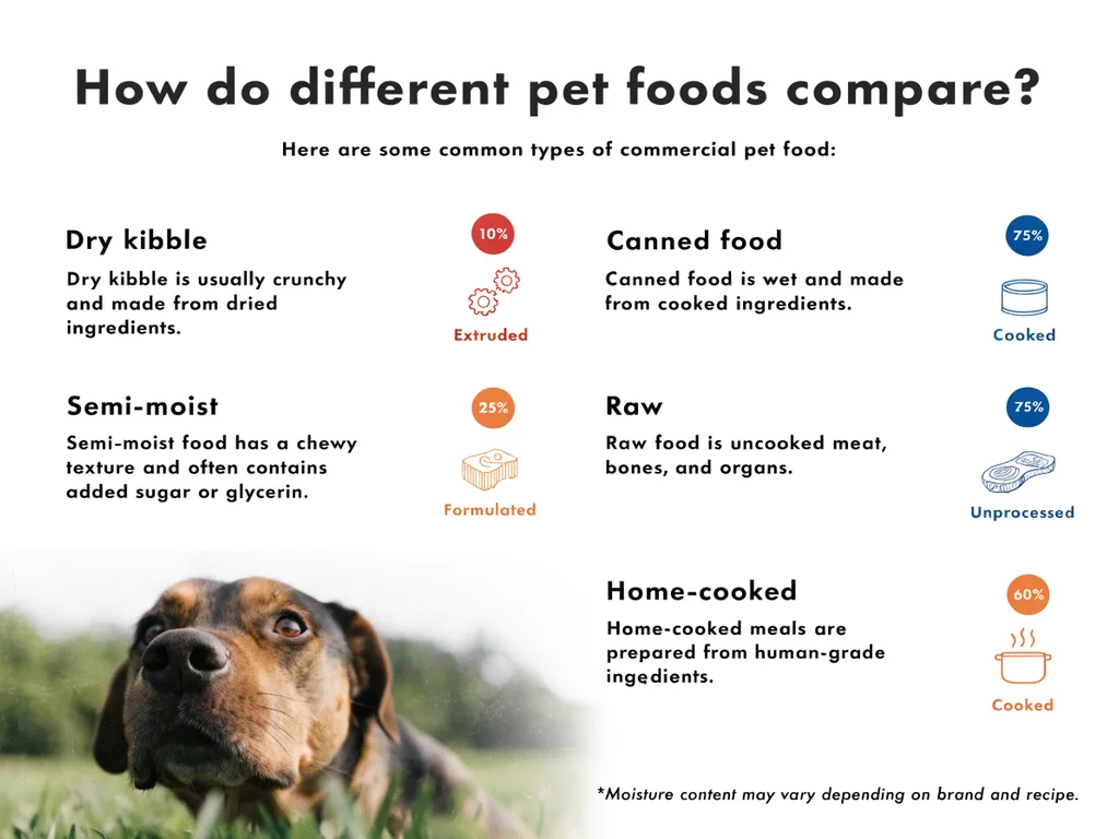 Infographic comparing moisture content and processing methods across pet food types