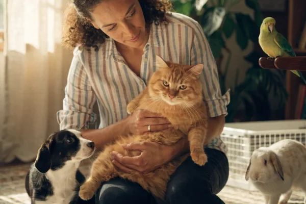 A professional pet sitter cares for a cat, dog, rabbit, and parakeet in a cozy multi-species household.