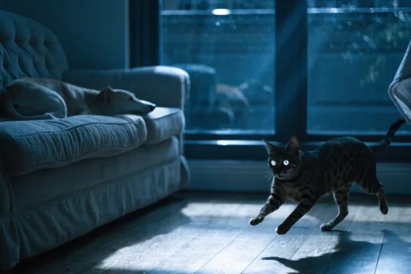 A energetic Bengal cat sprints across a moonlit living room while a Greyhound dog sleeps peacefully.