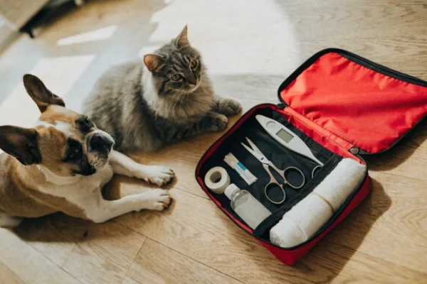 A dog and a cat rest beside an open, fully stocked pet first aid kit.