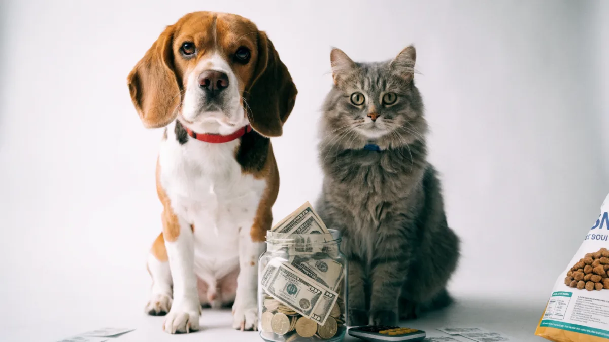 Budgeting for Your Best Friend: The Hidden Annual Costs of Dogs vs. Cats