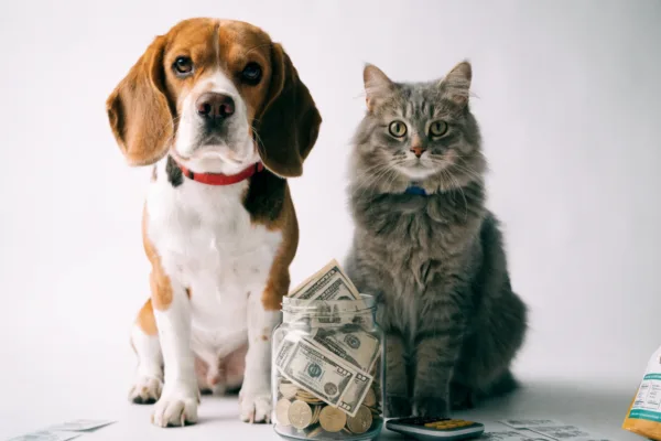 A dog and cat sit beside a jar of money and a calculator, illustrating the true annual cost of pet ownership.