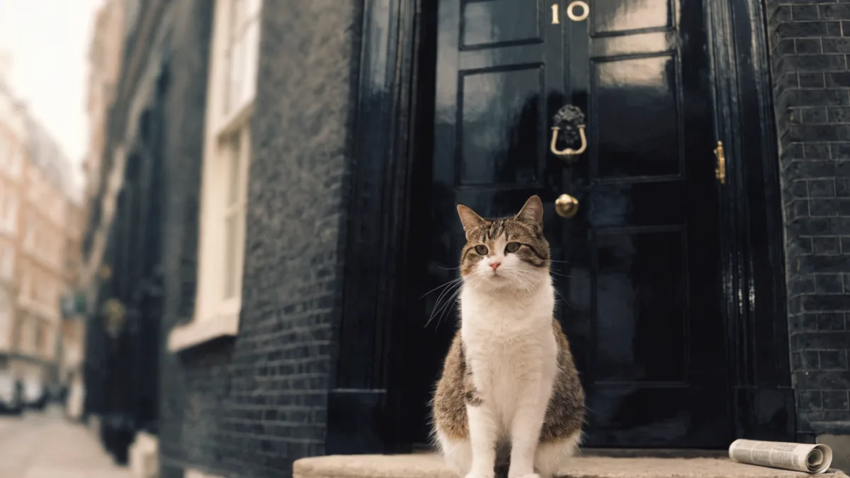 First Pets and Famous Felines: The Dogs and Cats Who Made History