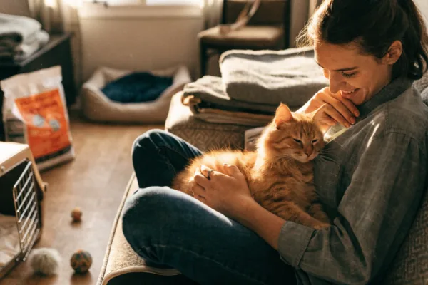 A foster parent cuddles a tabby cat at home amid foster supplies, embodying the foster-to-adopt journey.