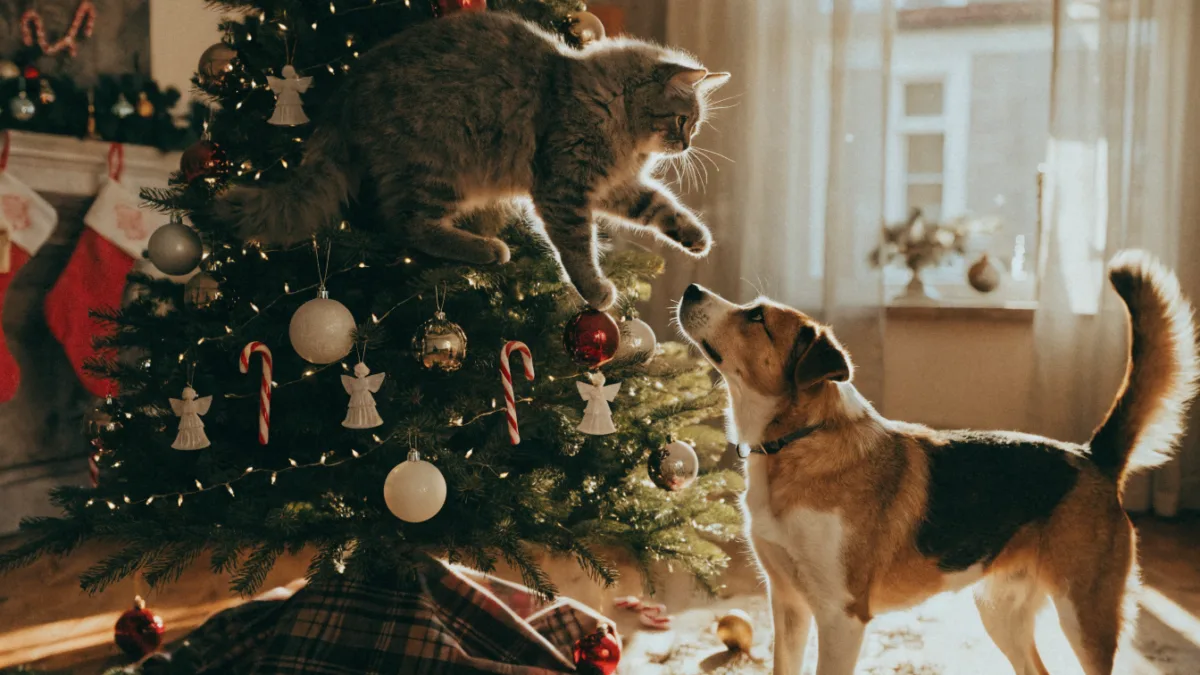 How to Pet-Proof a Christmas Tree: Defeating the Climbing Cat and the Tail-Wagging Dog