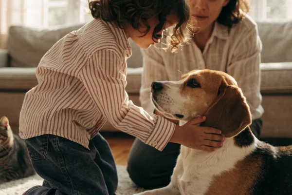 A young child gently pets a relaxed beagle under parental supervision while a cat watches nearby.